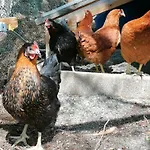 Appartement Les Marm'hôtes *