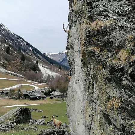 Appartement Les Marm'hôtes *