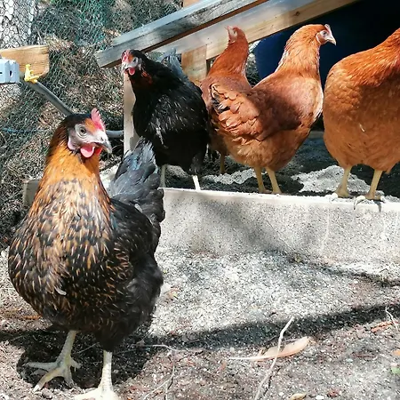 Appartement Les Marm'hôtes *